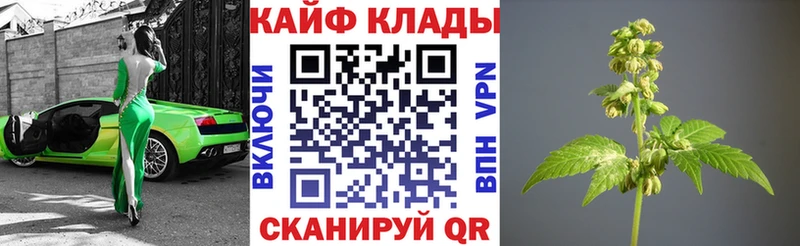  Cocaine Гулькевичи