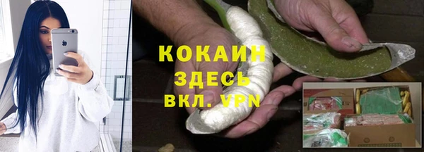 spice Верея